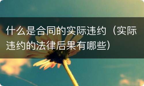 什么是合同的实际违约（实际违约的法律后果有哪些）