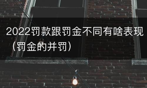 2022罚款跟罚金不同有啥表现（罚金的并罚）