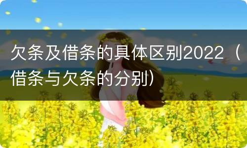 欠条及借条的具体区别2022（借条与欠条的分别）