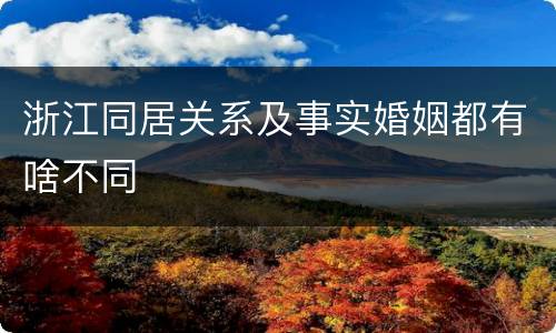 浙江同居关系及事实婚姻都有啥不同