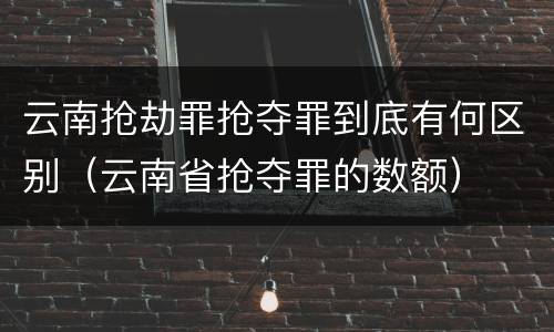 云南抢劫罪抢夺罪到底有何区别（云南省抢夺罪的数额）