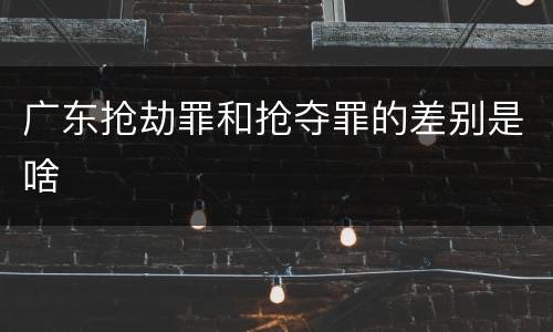 广东抢劫罪和抢夺罪的差别是啥