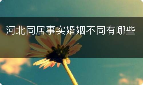 河北同居事实婚姻不同有哪些