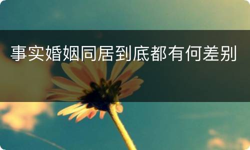 事实婚姻同居到底都有何差别