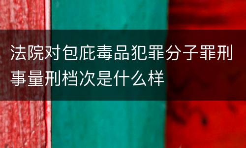 法院对包庇毒品犯罪分子罪刑事量刑档次是什么样