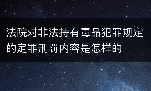 法院对非法持有毒品犯罪规定的定罪刑罚内容是怎样的
