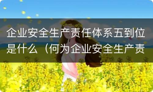 企业安全生产责任体系五到位是什么（何为企业安全生产责任体系五落实六到位）