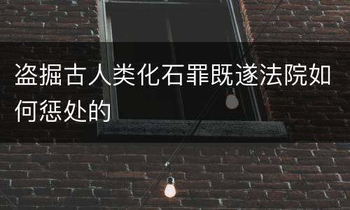 盗掘古人类化石罪既遂法院如何惩处的