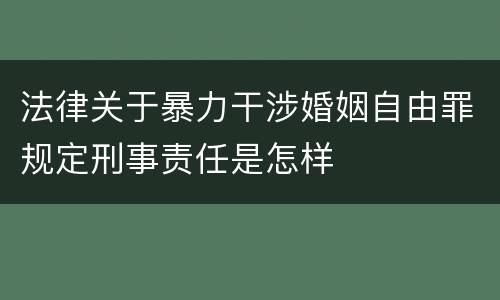 法律关于暴力干涉婚姻自由罪规定刑事责任是怎样