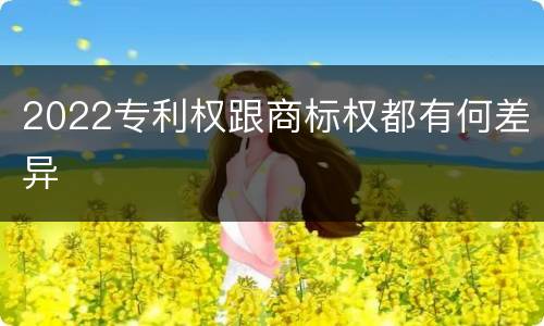 2022专利权跟商标权都有何差异