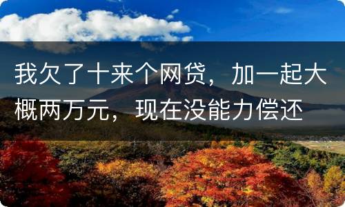 我欠了十来个网贷，加一起大概两万元，现在没能力偿还