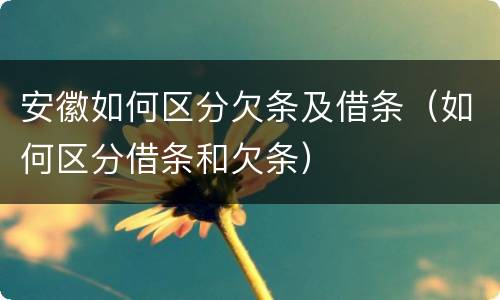 安徽如何区分欠条及借条（如何区分借条和欠条）