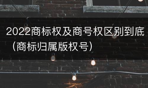 2022商标权及商号权区别到底（商标归属版权号）