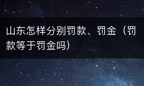 山东怎样分别罚款、罚金（罚款等于罚金吗）