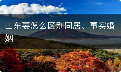 山东要怎么区别同居、事实婚姻