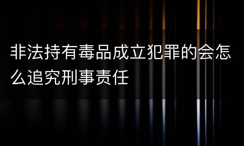 非法持有毒品成立犯罪的会怎么追究刑事责任