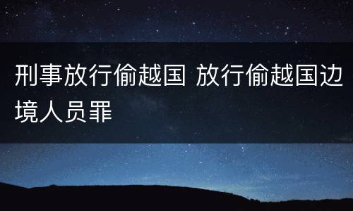 刑事放行偷越国 放行偷越国边境人员罪