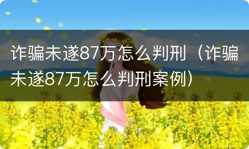 诈骗未遂87万怎么判刑（诈骗未遂87万怎么判刑案例）