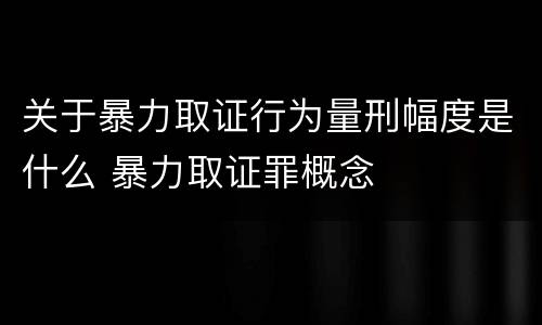 关于暴力取证行为量刑幅度是什么 暴力取证罪概念