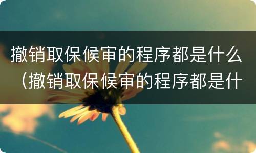 撤销取保候审的程序都是什么（撤销取保候审的程序都是什么意思）
