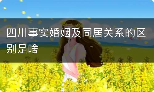 四川事实婚姻及同居关系的区别是啥