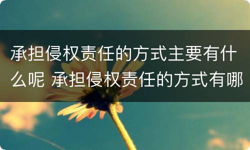 承担侵权责任的方式主要有什么呢 承担侵权责任的方式有哪些