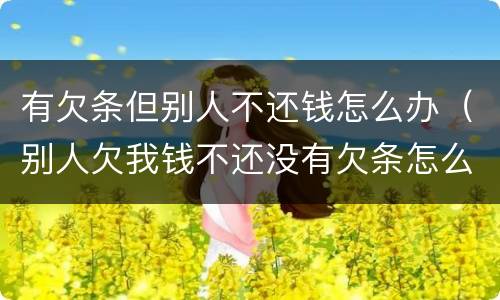 有欠条但别人不还钱怎么办（别人欠我钱不还没有欠条怎么办）