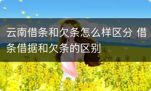 云南借条和欠条怎么样区分 借条借据和欠条的区别
