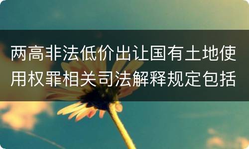 两高非法低价出让国有土地使用权罪相关司法解释规定包括什么重要内容