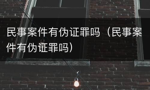 民事案件有伪证罪吗（民事案件有伪证罪吗）