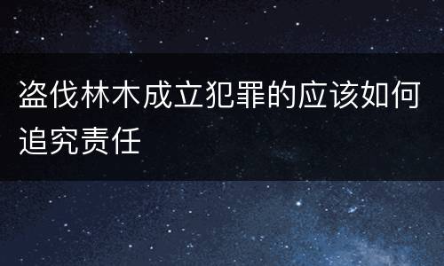 盗伐林木成立犯罪的应该如何追究责任