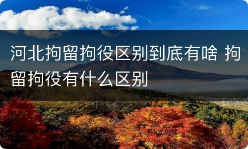 河北拘留拘役区别到底有啥 拘留拘役有什么区别