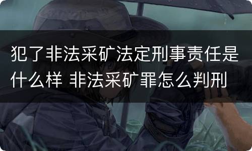 犯了非法采矿法定刑事责任是什么样 非法采矿罪怎么判刑
