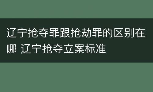 辽宁抢夺罪跟抢劫罪的区别在哪 辽宁抢夺立案标准