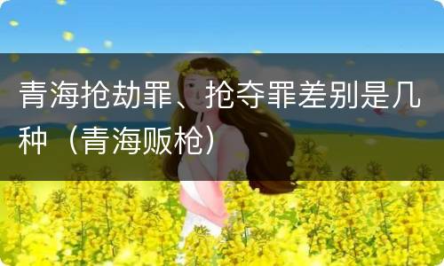 青海抢劫罪、抢夺罪差别是几种（青海贩枪）
