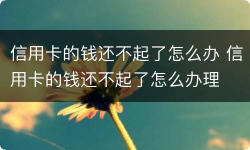 信用卡的钱还不起了怎么办 信用卡的钱还不起了怎么办理