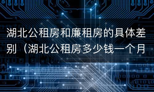 湖北公租房和廉租房的具体差别（湖北公租房多少钱一个月）