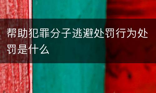 帮助犯罪分子逃避处罚行为处罚是什么