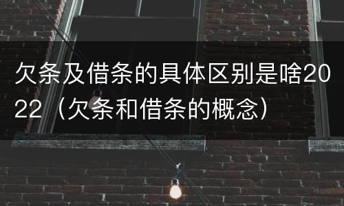 欠条及借条的具体区别是啥2022（欠条和借条的概念）