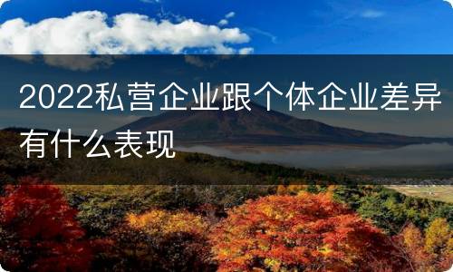 2022私营企业跟个体企业差异有什么表现