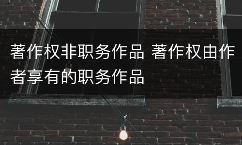 著作权非职务作品 著作权由作者享有的职务作品