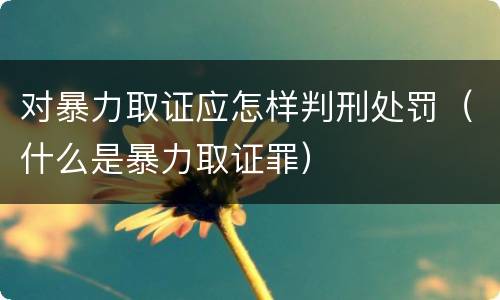 对暴力取证应怎样判刑处罚（什么是暴力取证罪）