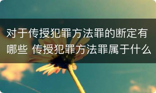 对于传授犯罪方法罪的断定有哪些 传授犯罪方法罪属于什么罪