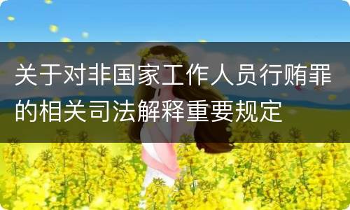 关于对非国家工作人员行贿罪的相关司法解释重要规定