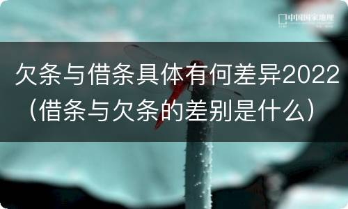 欠条与借条具体有何差异2022（借条与欠条的差别是什么）