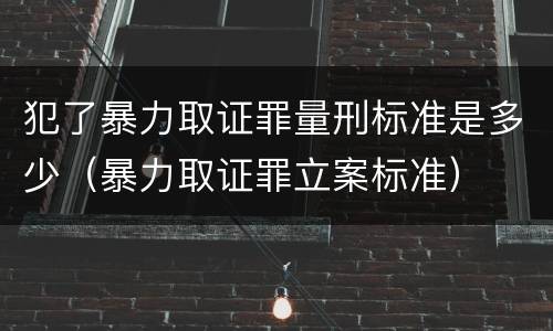 犯了暴力取证罪量刑标准是多少（暴力取证罪立案标准）