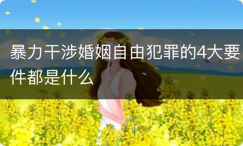 暴力干涉婚姻自由犯罪的4大要件都是什么
