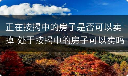 正在按揭中的房子是否可以卖掉 处于按揭中的房子可以卖吗
