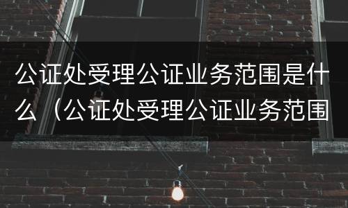 公证处受理公证业务范围是什么（公证处受理公证业务范围是什么意思）
