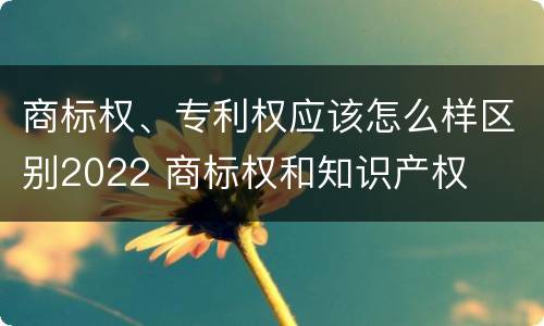 商标权、专利权应该怎么样区别2022 商标权和知识产权